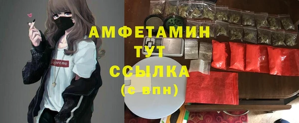 прущие крисы Аркадак
