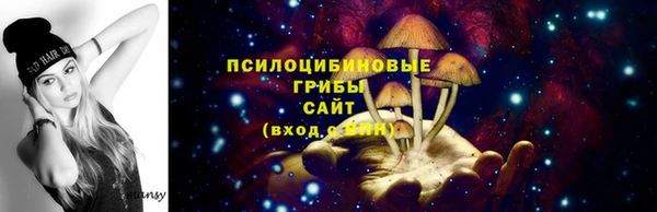 a pvp Арсеньев